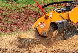Best Lawn Irrigation Installation and Maintenance  in Lanark, IL