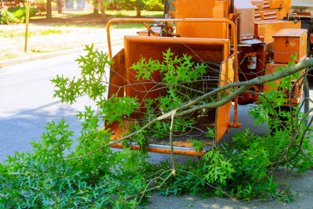 Lawn Watering Services in Lanark, IL