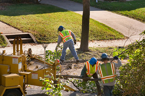 Seasonal Cleanup (Spring/Fall) in Lanark, IL